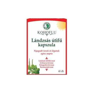 Kohoflu lándzsás útifű kapszula-nappal 40 db