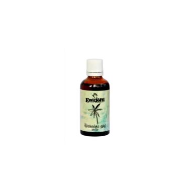 Közönséges galaj kivonat 50 ml