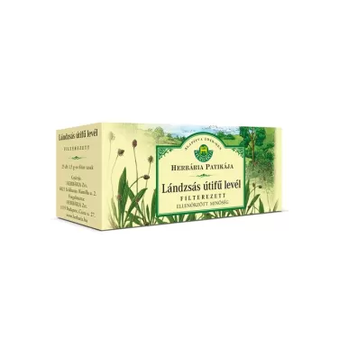 lándzsás útifű levél filteres 25*1,2 g