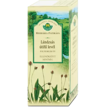 lándzsás útifű levél filteres 37 g