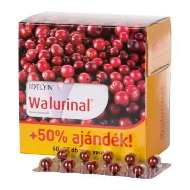 Walurinal aranyvesszővel kapszula 60+30 db